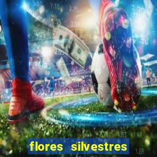 flores silvestres desbravadores desbravadores 25